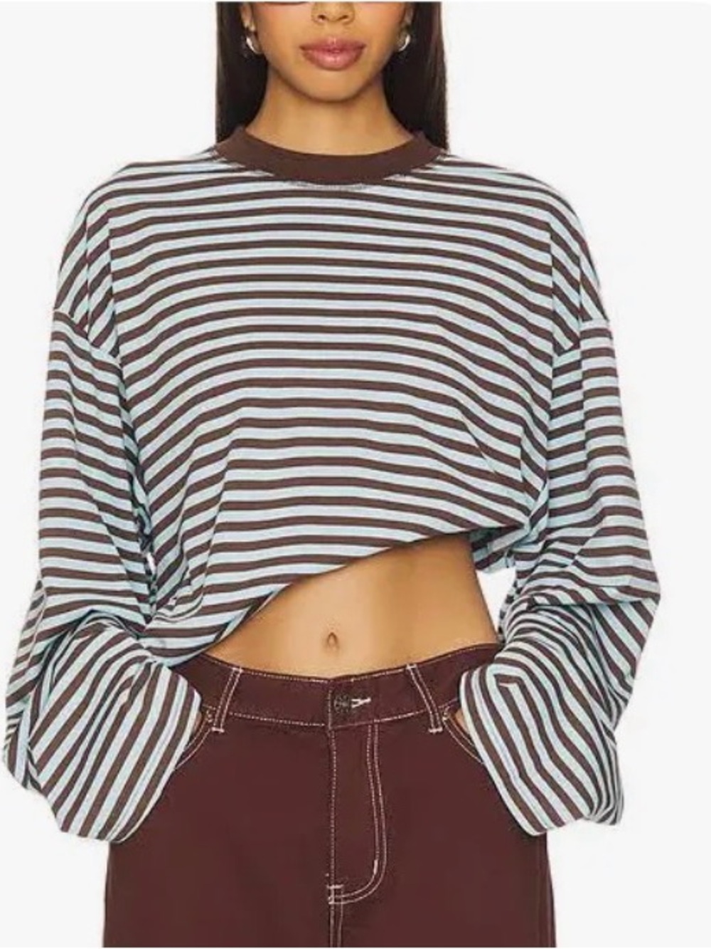 Lioness Striped Cropped Long-Sleeve Top in Brown and Light Blue